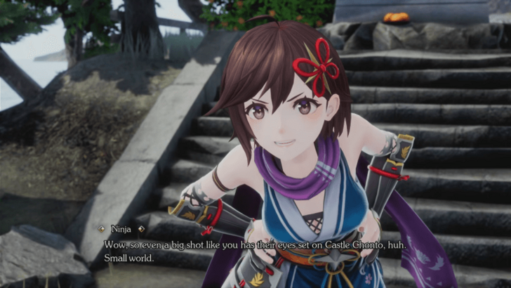 Ninja Going to Chonto