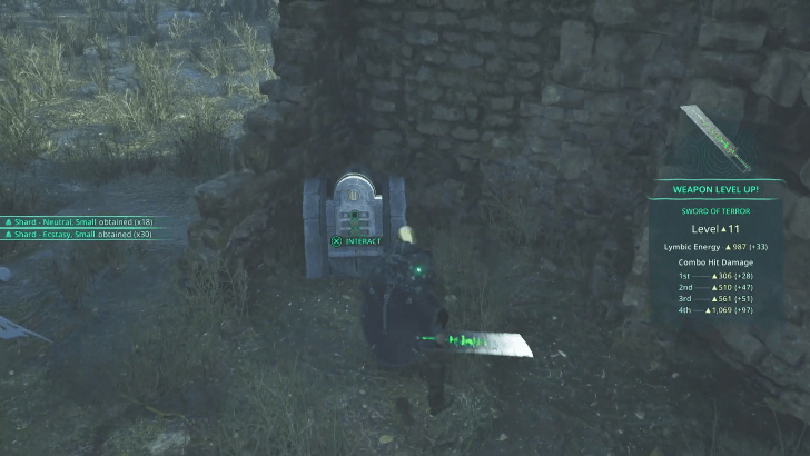 Lymbic Chest - Acasa Eastern Ruins