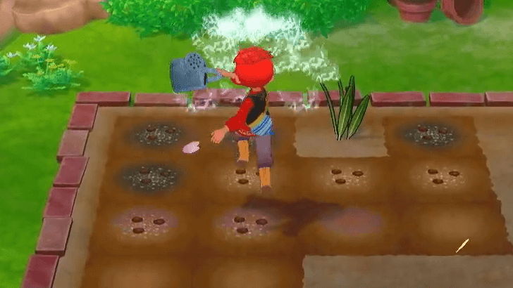 Story of Seasons Grand Bazaar - Water Seeds on Tilled Farmland