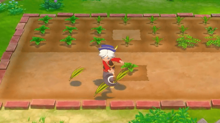 Story of Seasons Grand Bazaar - Used to Remove Wilted Crops