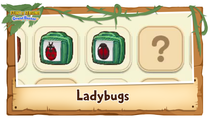 Story of Seasons Grand Bazaar - Ladybugs Time, Weather, and Location