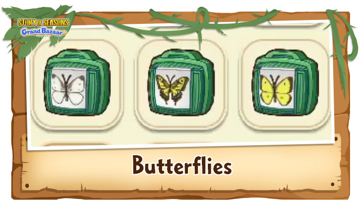 Story of Seasons Grand Bazaar - Butterflies Time, Weather, and Location