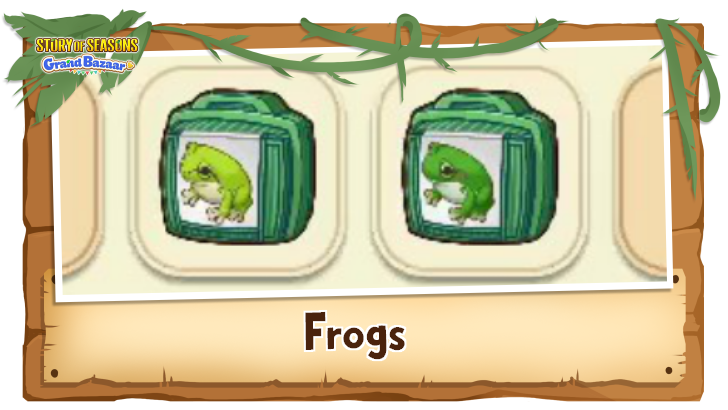 Story of Seasons Grand Bazaar - Frogs Time, Weather, and Location