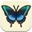 Story of Seasons: Grand Bazaar - Black Swallowtail Butterfly
