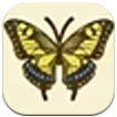 Story of Seasons: Grand Bazaar - Swallowtail Butterfly