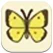 Story of Seasons: Grand Bazaar - Pale Clouded Butterfly