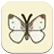 Story of Seasons: Grand Bazaar - Cabbage White Butterfly