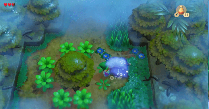 Use Magic Powder on Raccoon