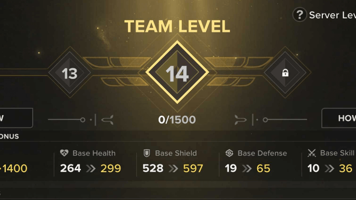 Team Level