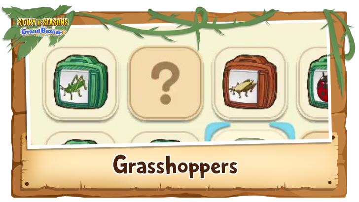 Story of Seasons Grand Bazaar - Grasshoppers Time, Weather, and Location