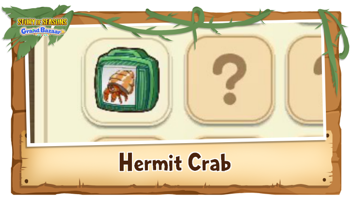 Story of Seasons Grand Bazaar - Hermit Crab Time, Weather, and Location