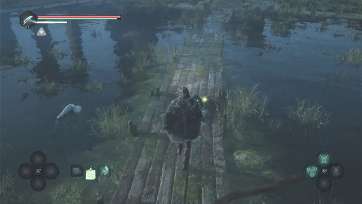 Find the Corpse At Acasa Marshes to Find the Notebook