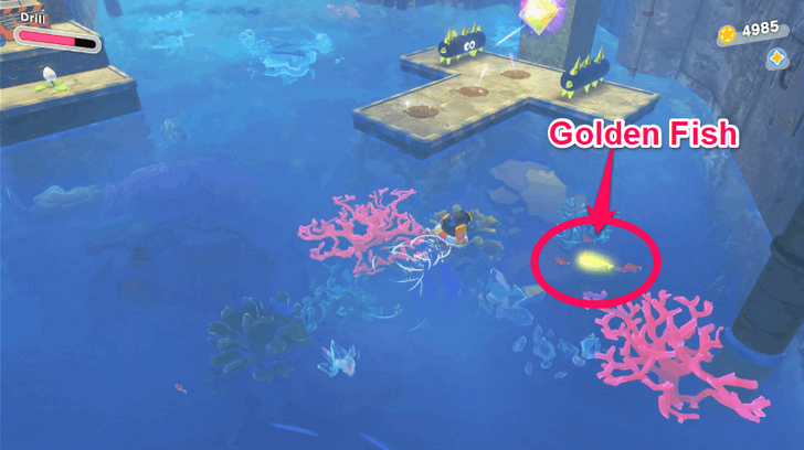 Golden Fish Location