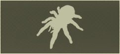 TARANTULA Icon