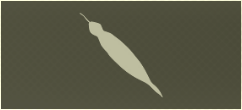 TSUCHINOKO Icon