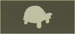 TORTOISE Icon