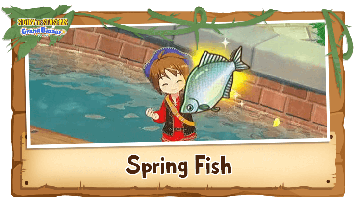 Story of Seasons Grand Bazaar - List of Spring Fish
