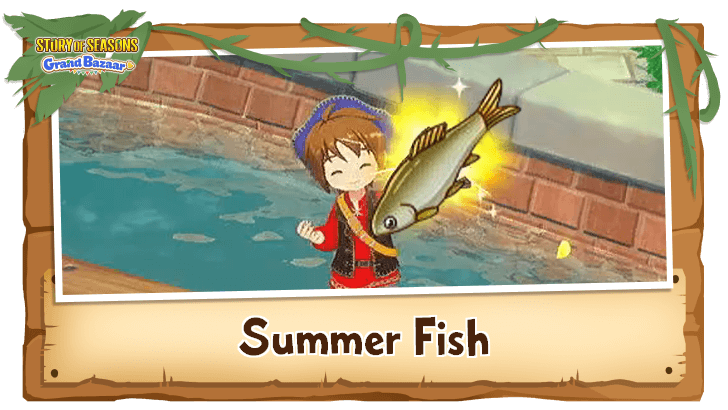 Story of Seasons Grand Bazaar - List of Summer Fish