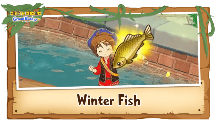 Story of Seasons Grand Bazaar - List of Winter Fish