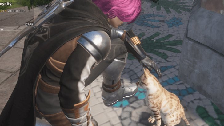 Pet the Cat