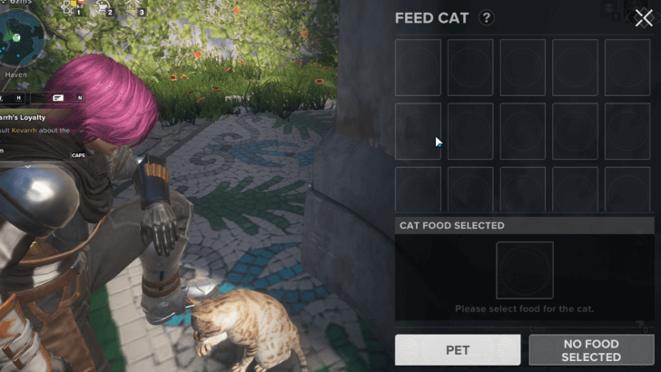 Feeding Cat