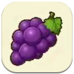 Story of Seasons: Grand Bazaar - Red Grapes Image