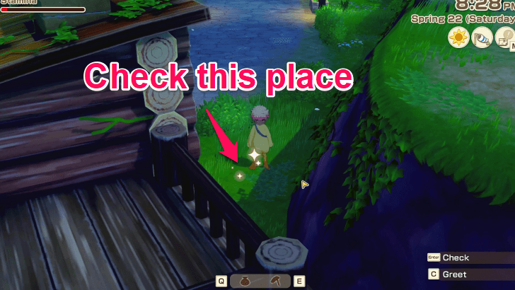Story of Seasons Grand Bazaar - Jules Bag Location