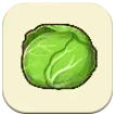 Story of Seasons: Grand Bazaar - Cabbage Image