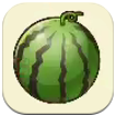 Story of Seasons: Grand Bazaar - Watermelon Image