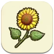 Story of Seasons: Grand Bazaar - Sunflower Image