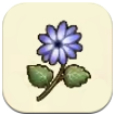 Story of Seasons: Grand Bazaar - Cineraria Image