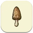 Story of Seasons: Grand Bazaar - Morel Mushroom