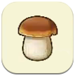 Story of Seasons: Grand Bazaar - Porcini Mushroom