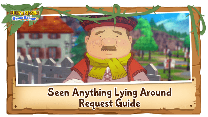 Story of Seasons Grand Bazaar - Seen Anything Lying Around Request Guide