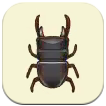 Story of Seasons: Grand Bazaar - Giant Stag Beetle