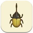 SoS Grand Bazaar - Hercules Beetle