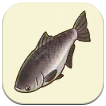 SoS Grand Bazaar - Bighead Carp