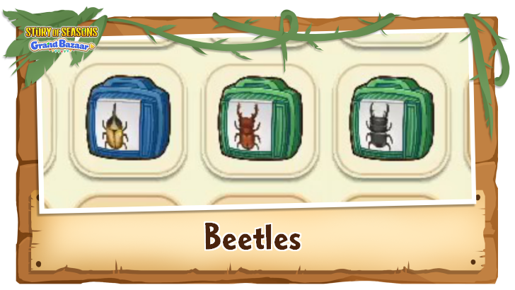 Story of Seasons Grand Bazaar - Beetles Time, Weather, and Location