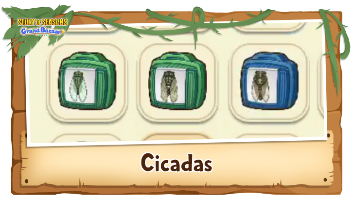 Story of Seasons Grand Bazaar - Cicadas Time, Weather, and Location