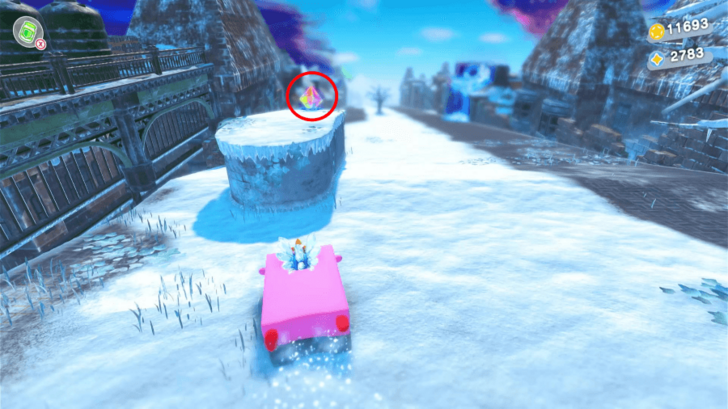 1st Big Starryflower