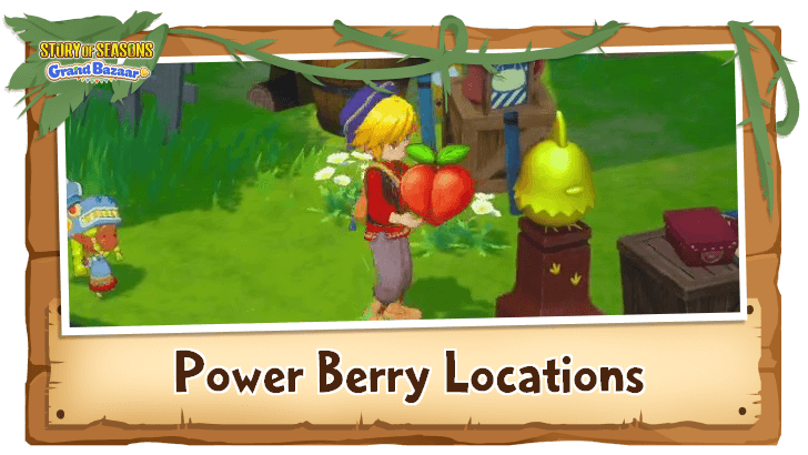 Story of Seasons Grand Bazaar - Power Berry Locations and How to Get
