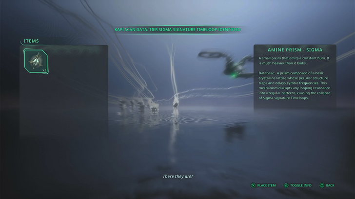 How to UseAmine Prism - Rho