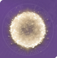 Bright Dust Icon