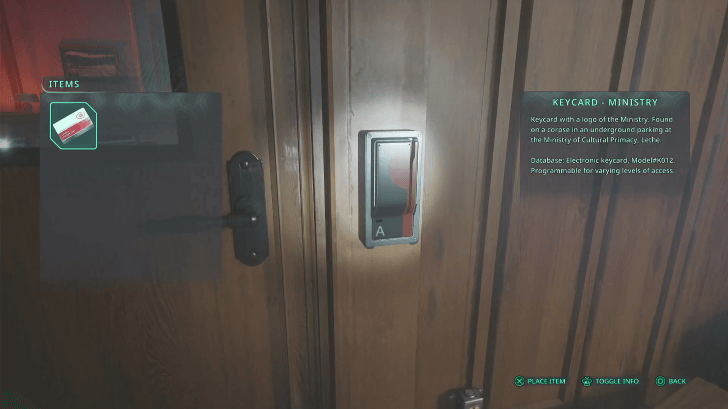 Roho Katungi inAcasa Marshes