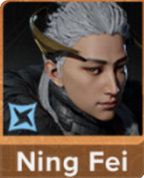 Ning Fei