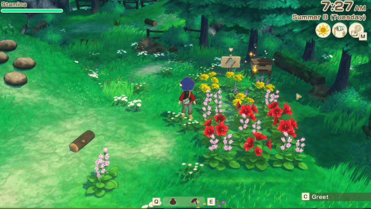 SoS Grand Bazaar - Plant flowers by the beehive