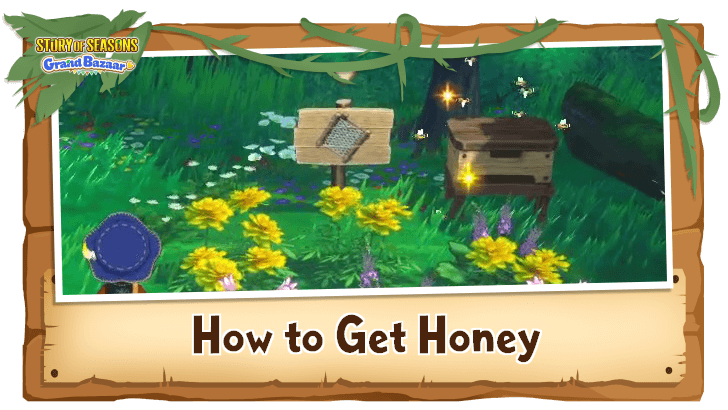 Story of Seasons Grand Bazaar - How to Get Honey