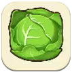 Story of Seasons: Grand Bazaar - Giant Cabbage Image