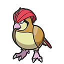 Pidgeotto