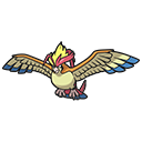 Mega Pidgeot